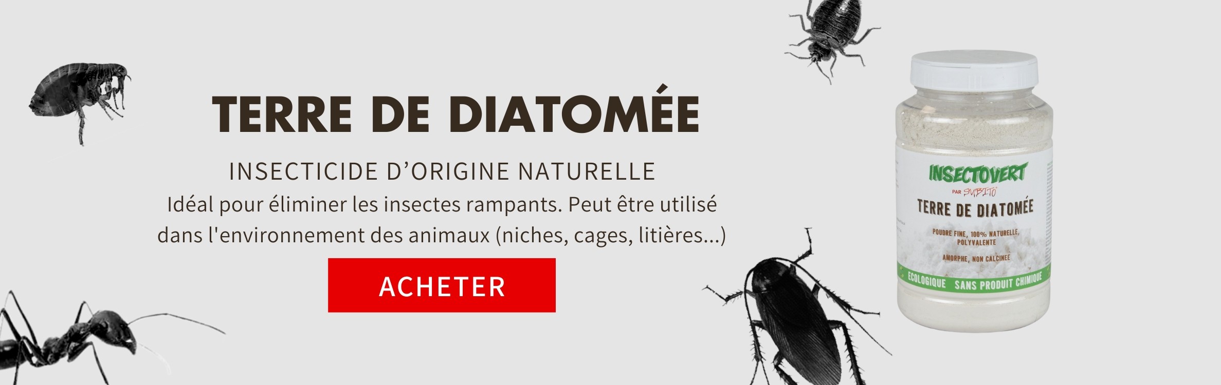 Terre de diatomee insecticide